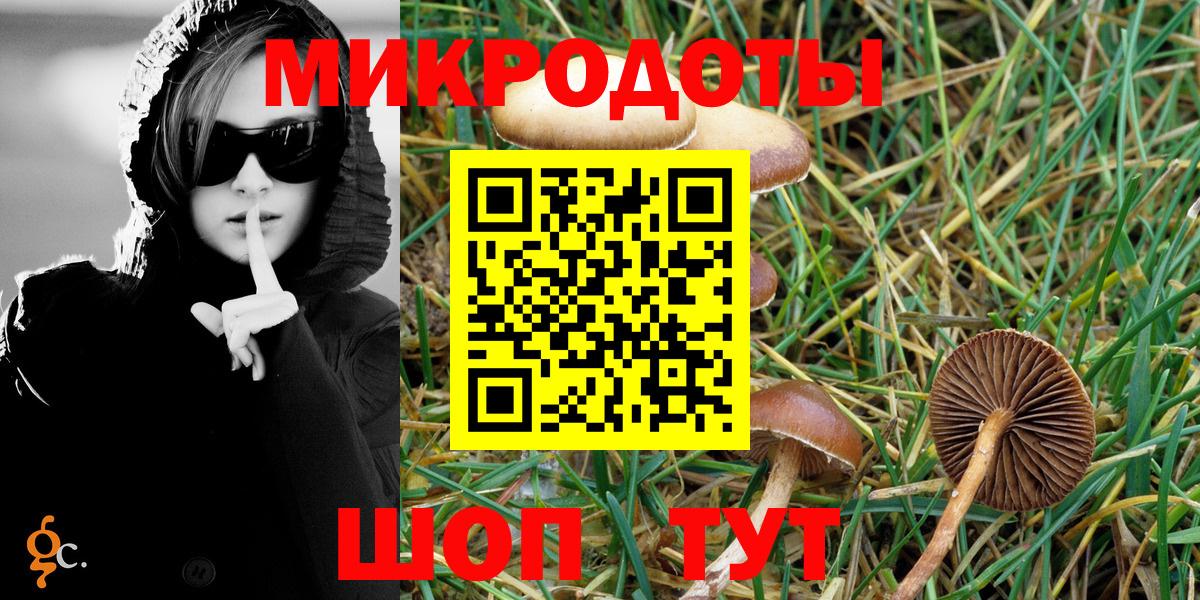 Псилоцибиновые грибы прущие грибы Новошахтинск