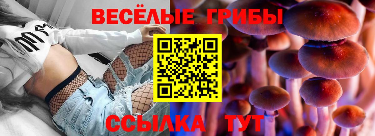 Новошахтинск  Псилоцибиновые грибы Psilocybe  Вход с VPN  Псилоцибиновые грибы прущие грибы 